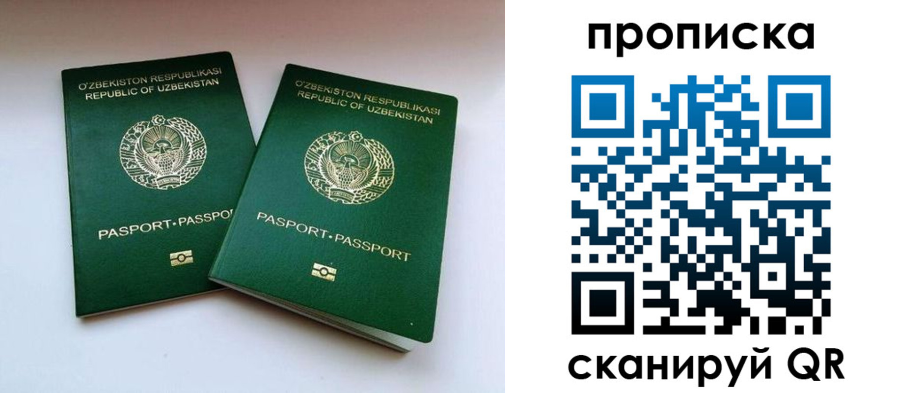 прописка поиск в Рязанской области